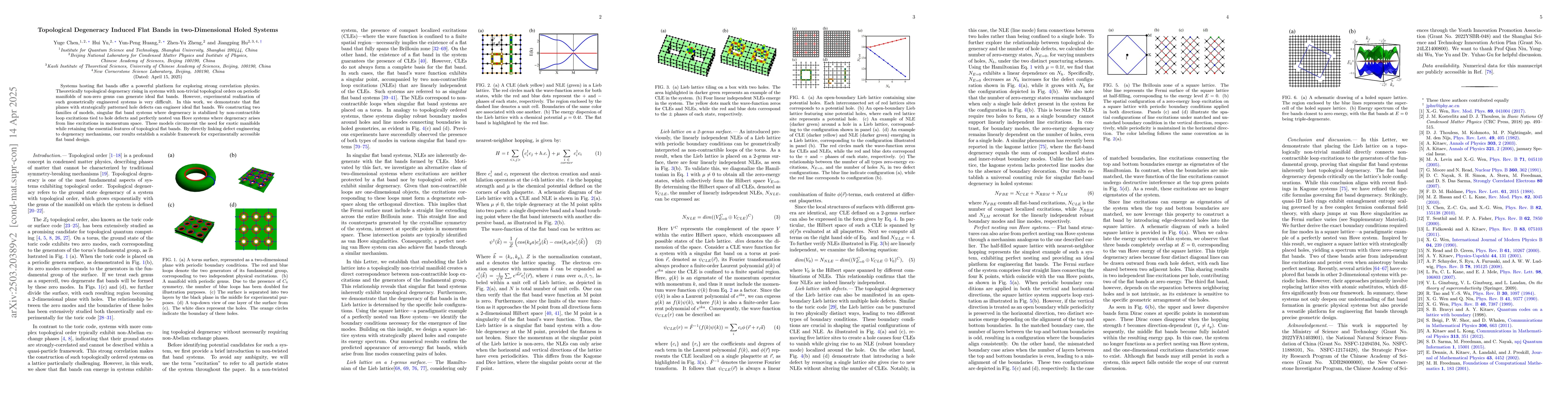 Thumbnail for Topological Degeneracy Induced Flat Bands in two-Dimensional Holed
  Systems
