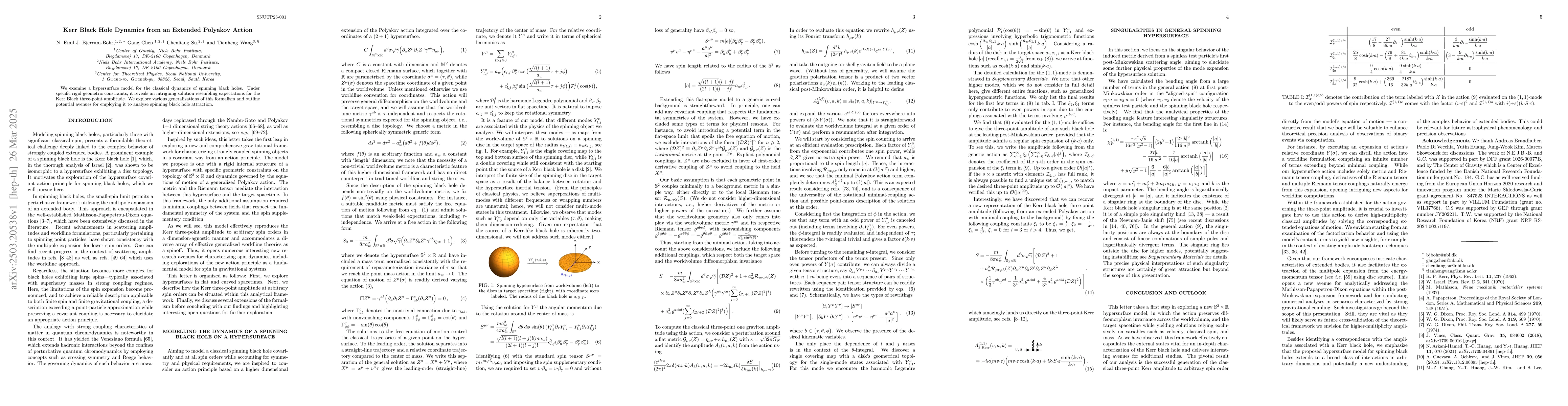 Thumbnail for Kerr Black Hole Dynamics from an Extended Polyakov Action