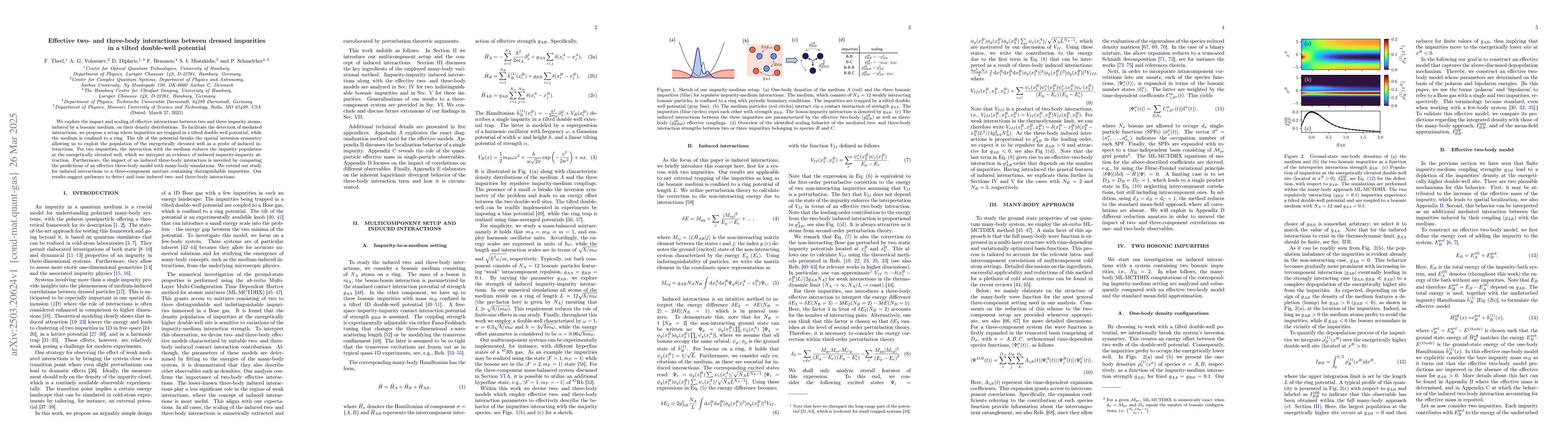 Thumbnail for Effective two- and three-body interactions between dressed impurities in
  a tilted double-well potential