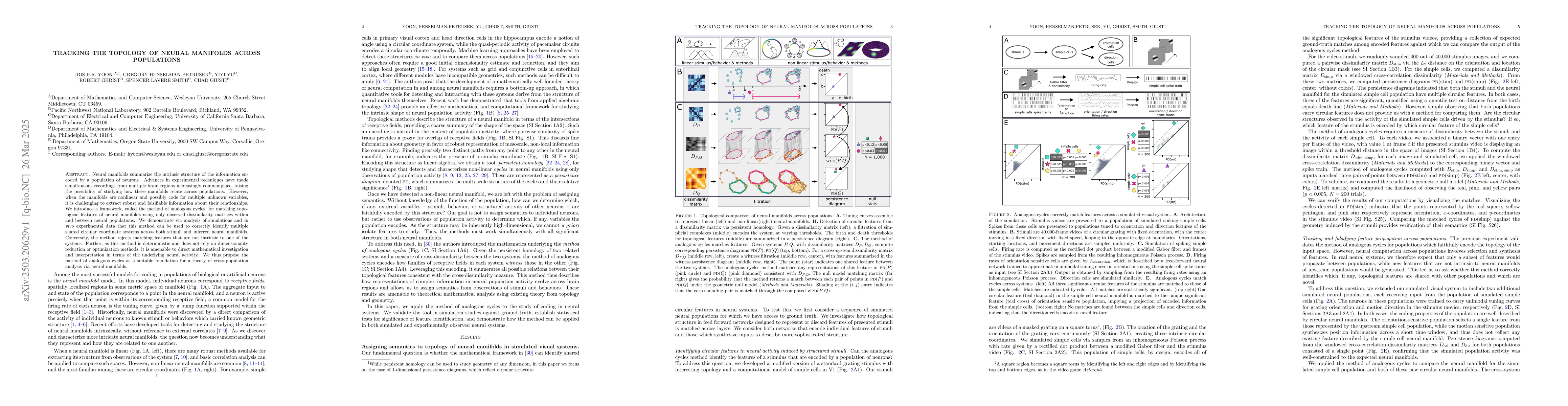 Thumbnail for Tracking the topology of neural manifolds across populations