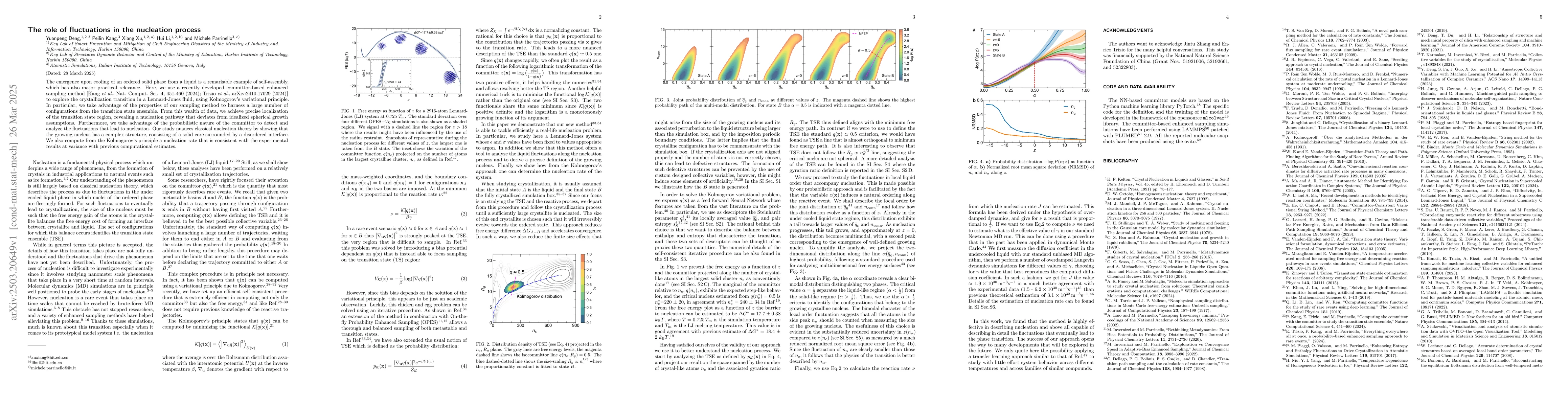 Thumbnail for The role of fluctuations in the nucleation process