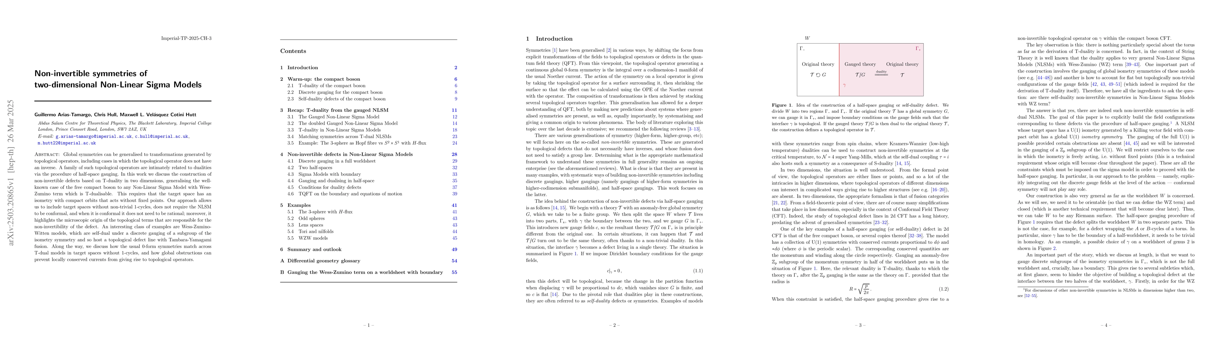 Thumbnail for Non-invertible symmetries of two-dimensional Non-Linear Sigma Models