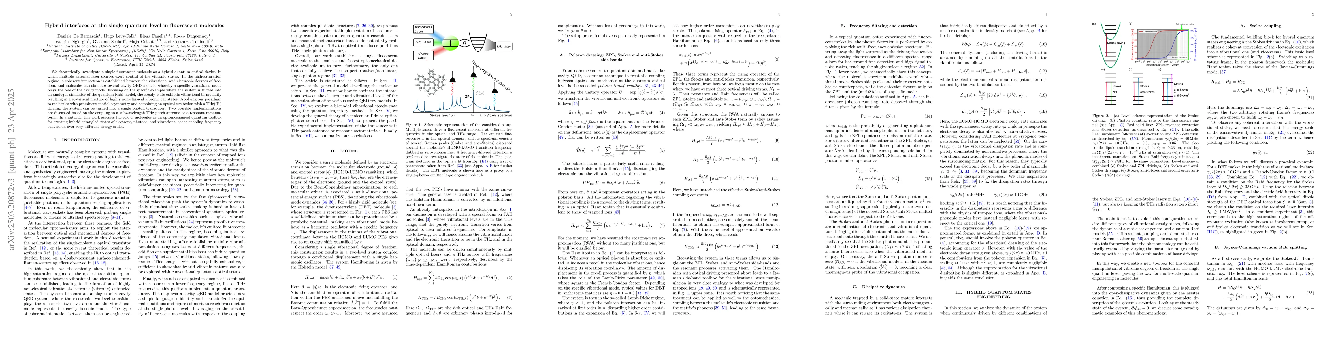 Thumbnail for Hybrid interfaces at the single quantum level in fluorescent molecules