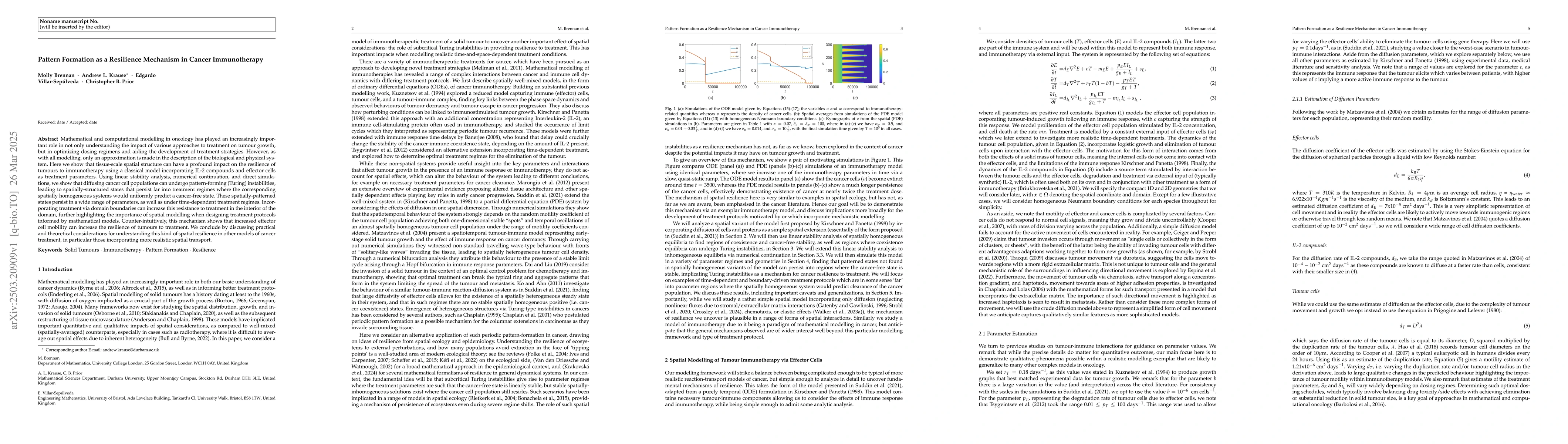 Thumbnail for Pattern Formation as a Resilience Mechanism in Cancer Immunotherapy