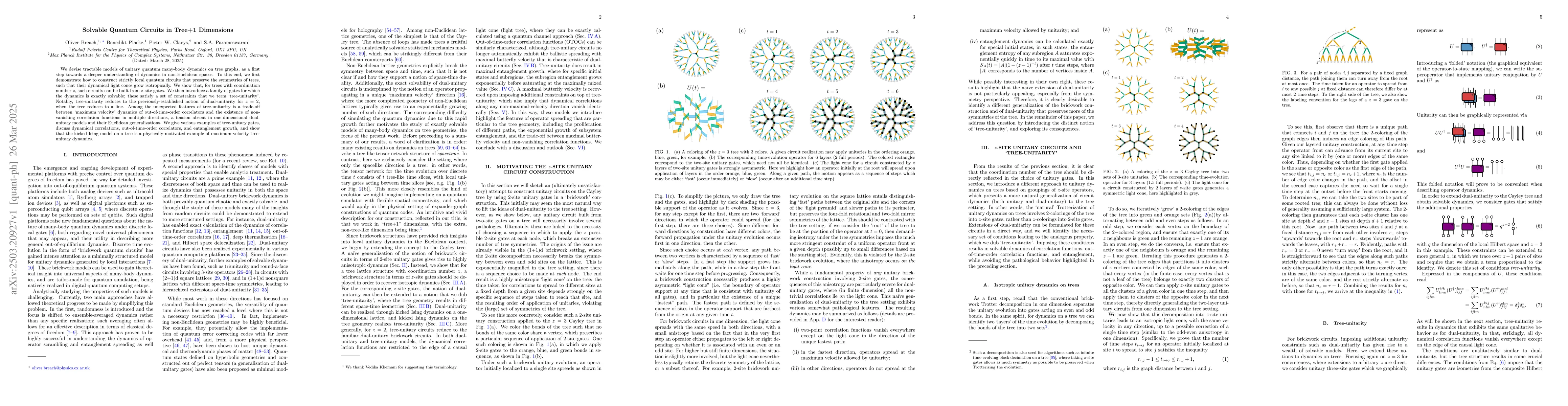 Thumbnail for Solvable Quantum Circuits in Tree+1 Dimensions