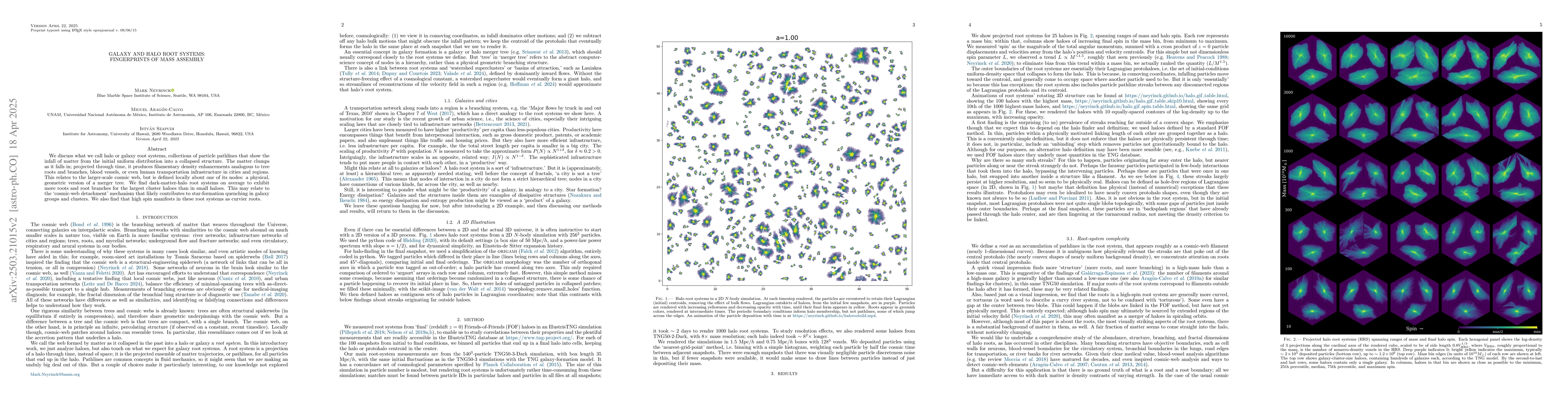 Thumbnail for Galaxy and Halo Root Systems: Fingerprints of Mass Assembly