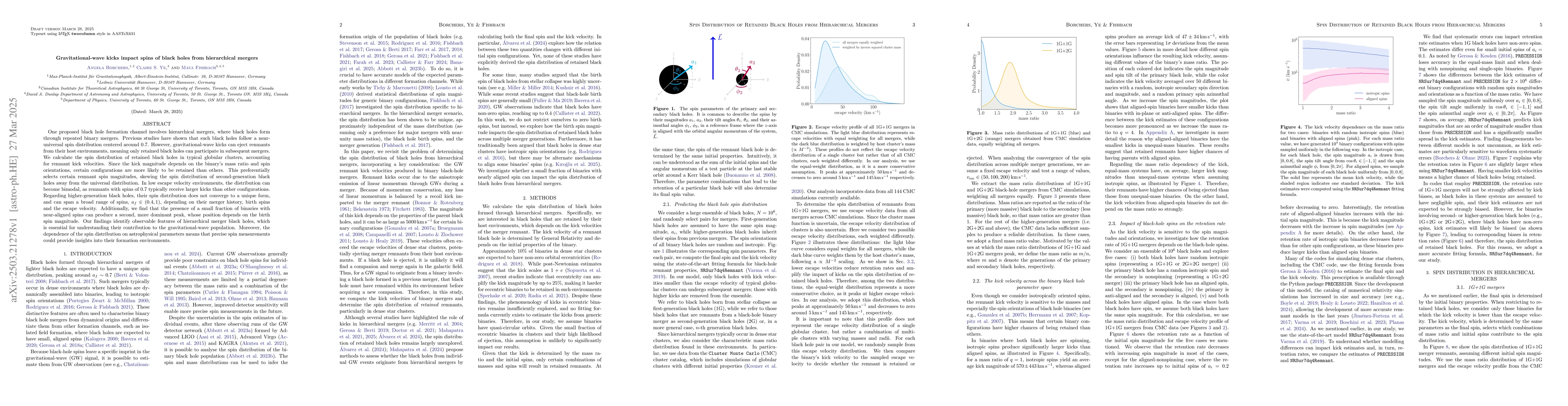 Thumbnail for Gravitational-wave kicks impact spins of black holes from hierarchical
  mergers