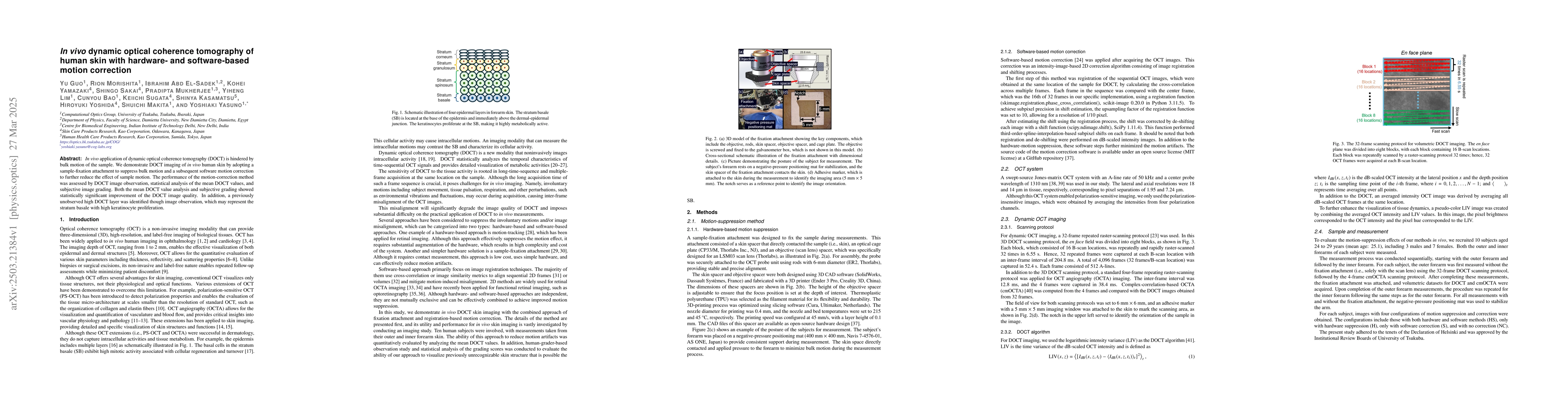 Thumbnail for In vivo dynamic optical coherence tomography of human skin with
  hardware- and software-based motion correction