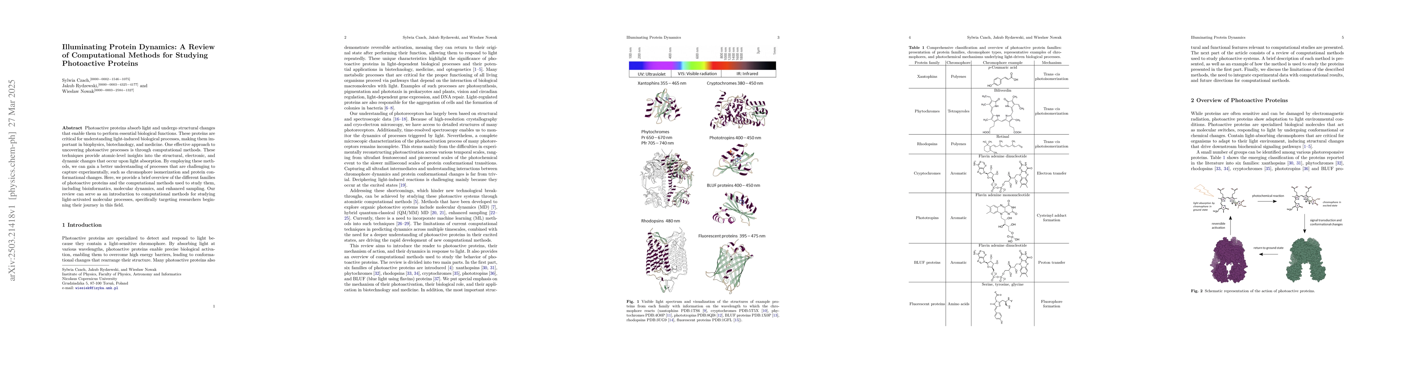 Thumbnail for Illuminating Protein Dynamics: A Review of Computational Methods for
  Studying Photoactive Proteins