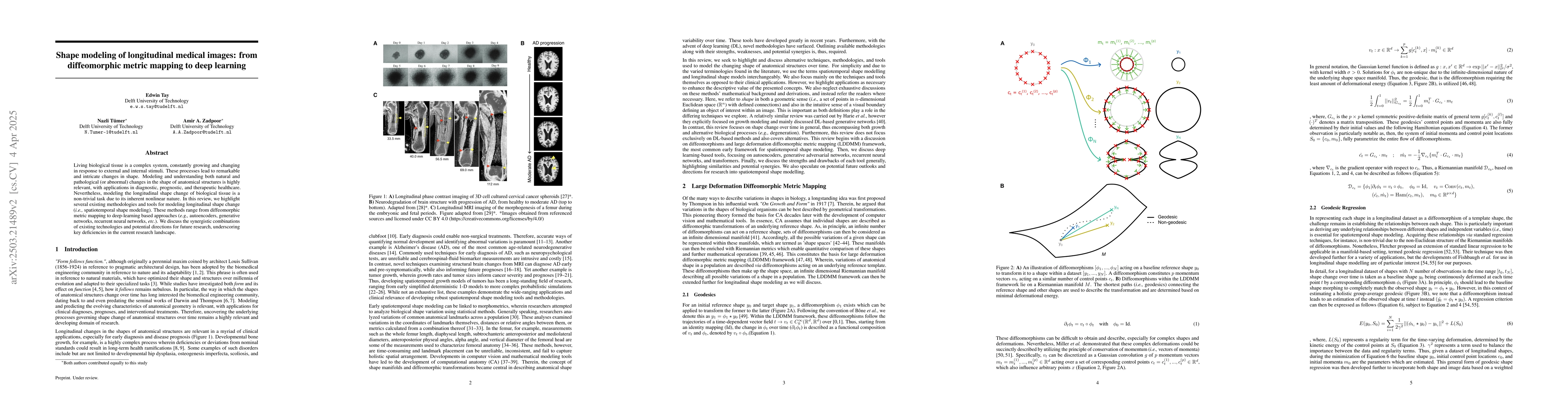 Thumbnail for Shape Modeling of Longitudinal Medical Images: From Diffeomorphic Metric
  Mapping to Deep Learning
