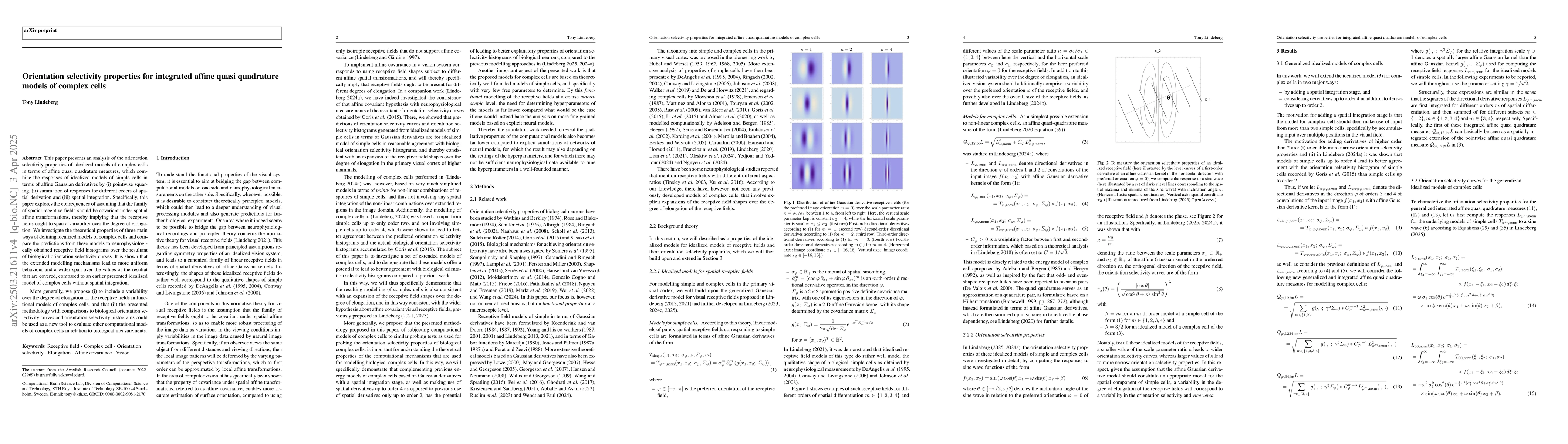 Thumbnail for Orientation selectivity properties for integrated affine quasi
  quadrature models of complex cells