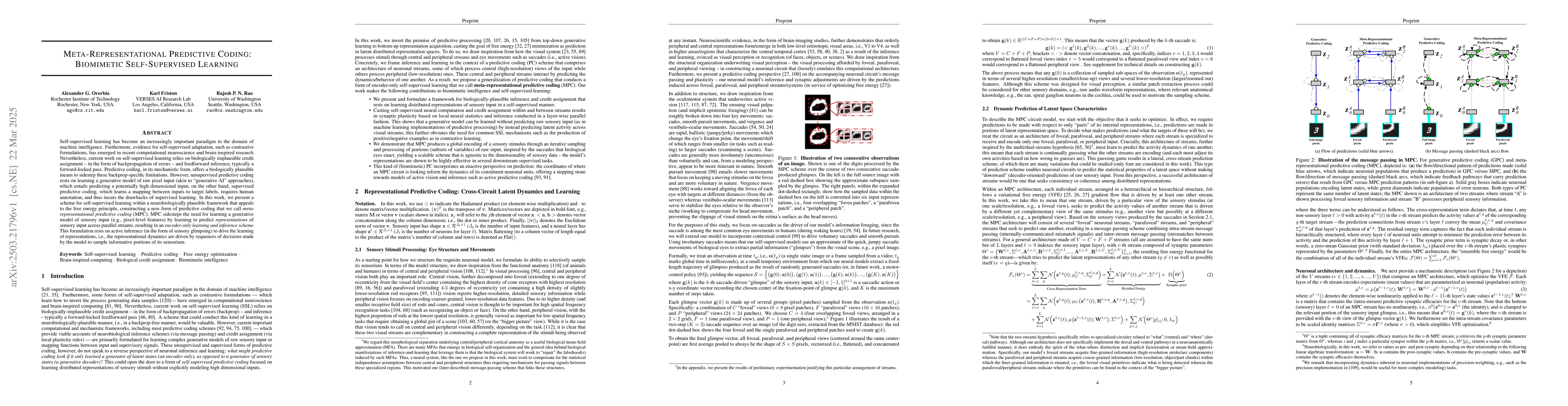 Thumbnail for Meta-Representational Predictive Coding: Biomimetic Self-Supervised
  Learning