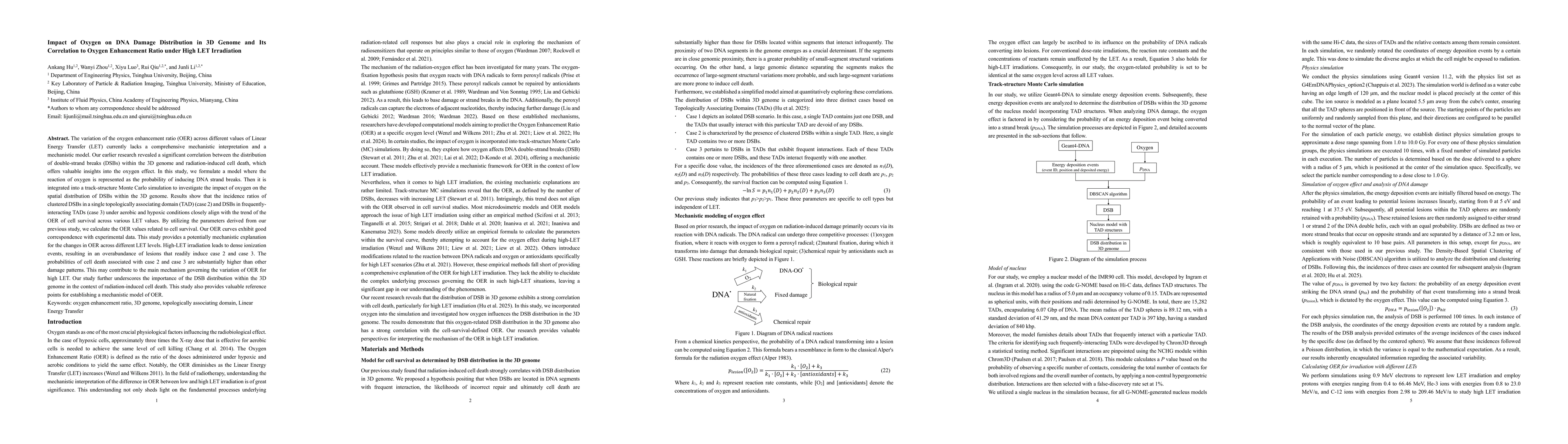 Thumbnail for Impact of Oxygen on DNA Damage Distribution in 3D Genome and Its
  Correlation to Oxygen Enhancement Ratio under High LET Irradiation