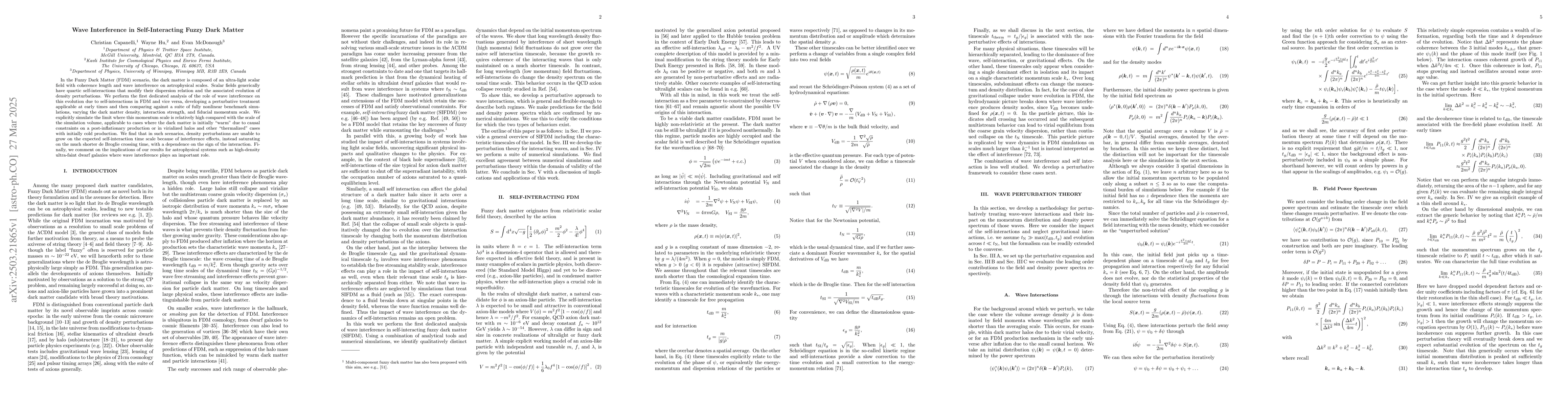 Thumbnail for Wave Interference in Self-Interacting Fuzzy Dark Matter