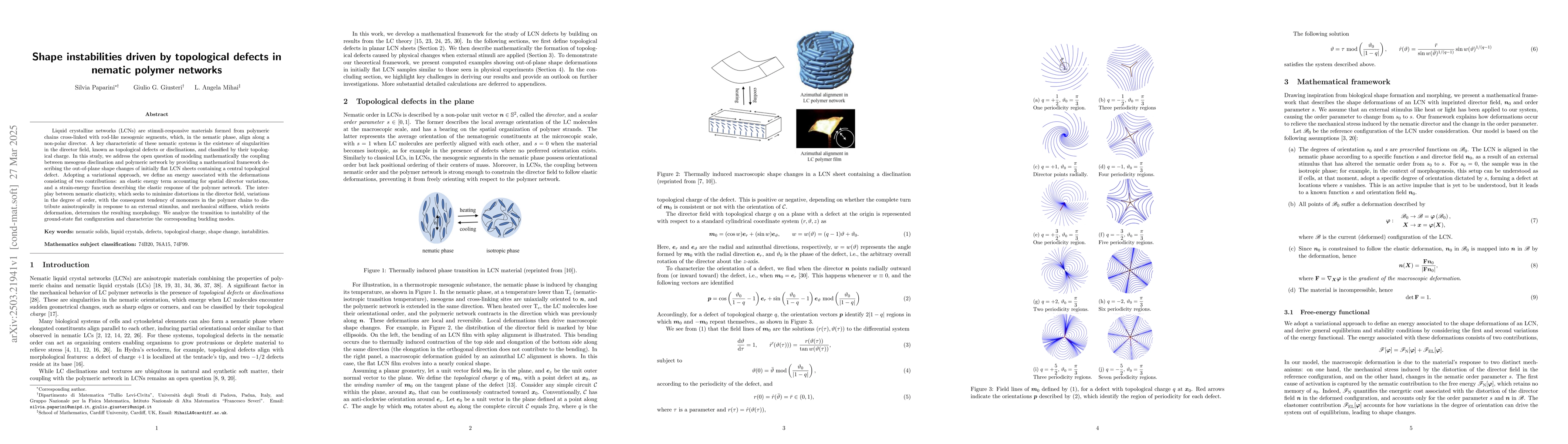 Thumbnail for Shape instabilities driven by topological defects in nematic polymer
  networks