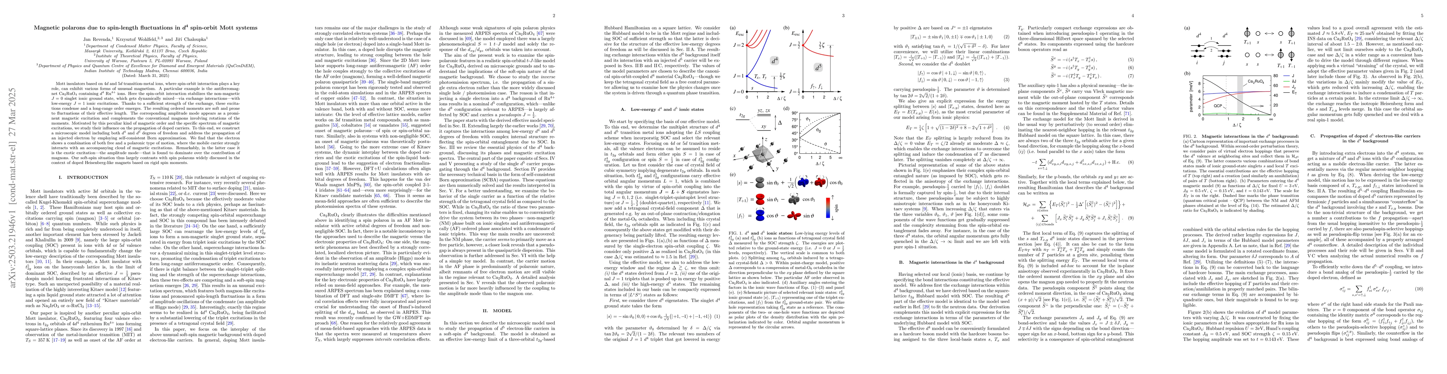 Thumbnail for Magnetic polarons due to spin-length fluctuations in
  $\boldsymbol{d}^\mathbf{4}$ spin-orbit Mott systems