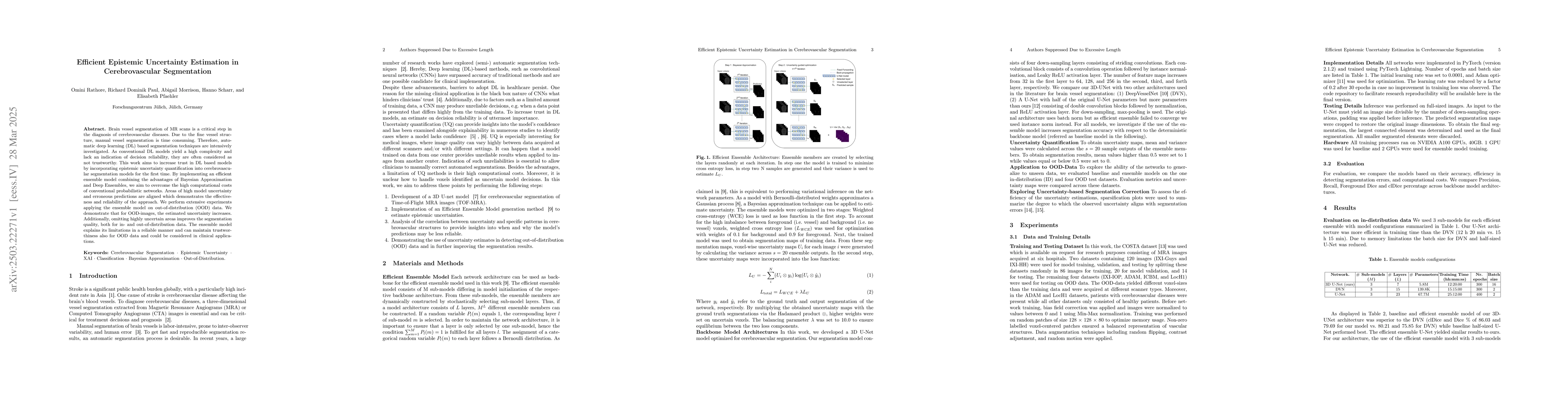 Thumbnail for Efficient Epistemic Uncertainty Estimation in Cerebrovascular
  Segmentation