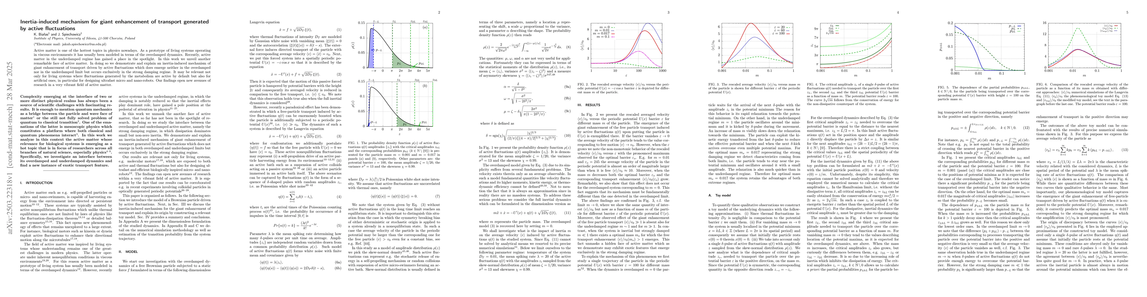 Thumbnail for Inertia-induced mechanism for giant enhancement of transport generated
  by active fluctuations