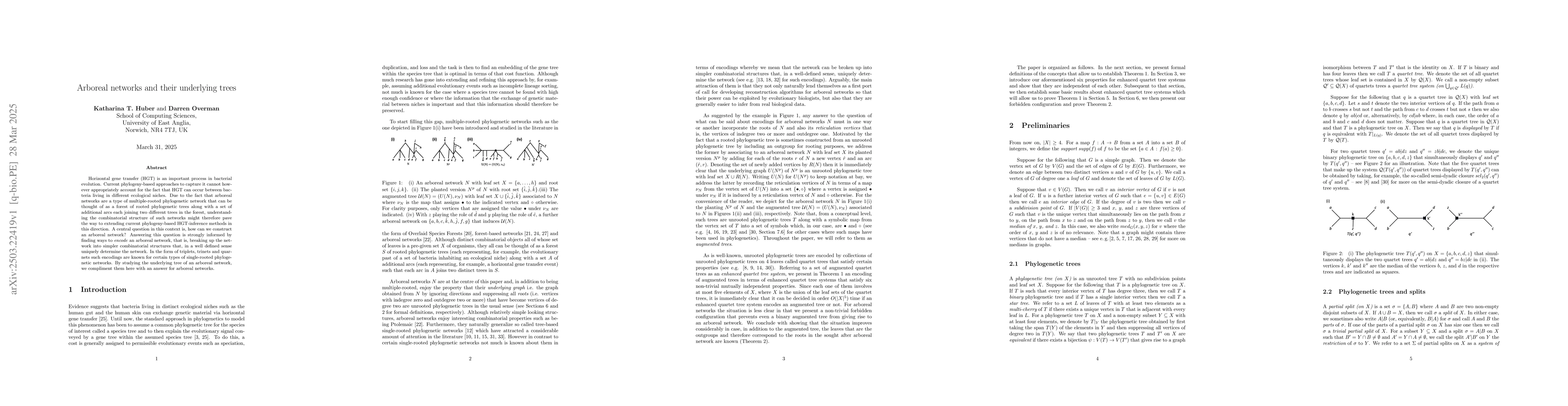 Thumbnail for Arboreal networks and their underlying trees