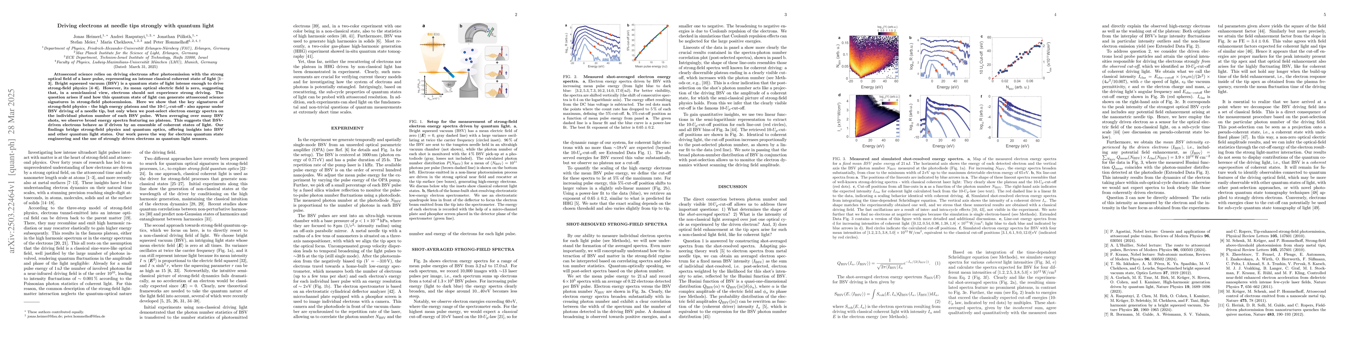 Thumbnail for Driving electrons at needle tips strongly with quantum light
