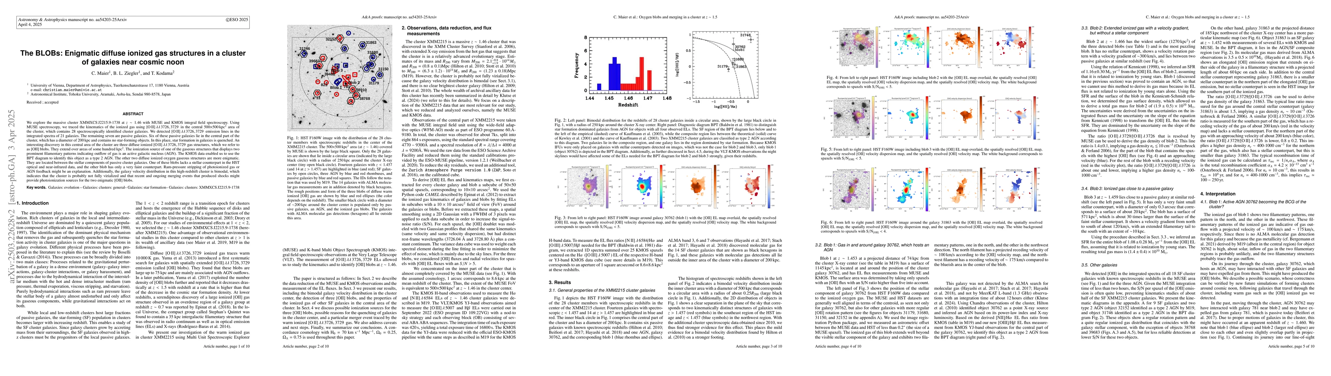 Thumbnail for The BLOBs: Enigmatic Diffuse Ionized Gas Structures in a Cluster of
  Galaxies near Cosmic Noon