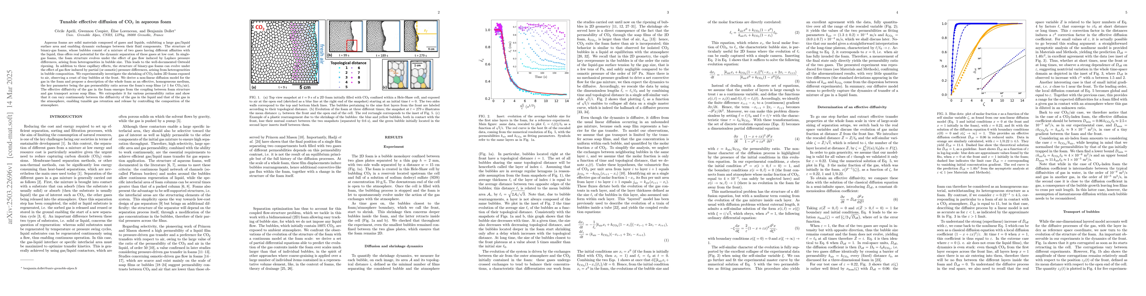 Thumbnail for Tunable effective diffusion of CO2 in aqueous foam