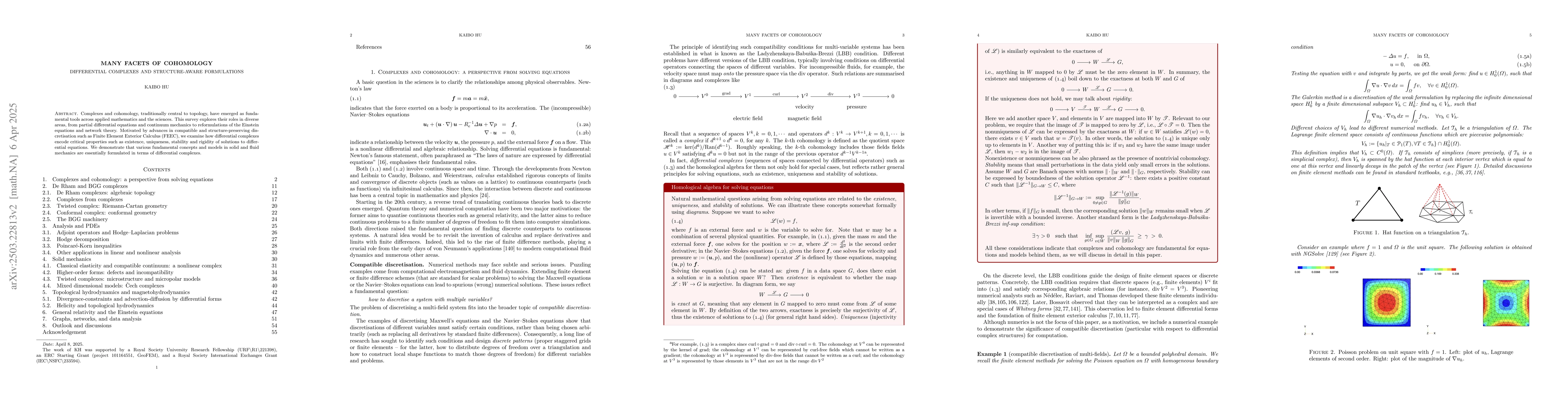 Thumbnail for Many facets of cohomology: Differential complexes and structure-aware
  formulations