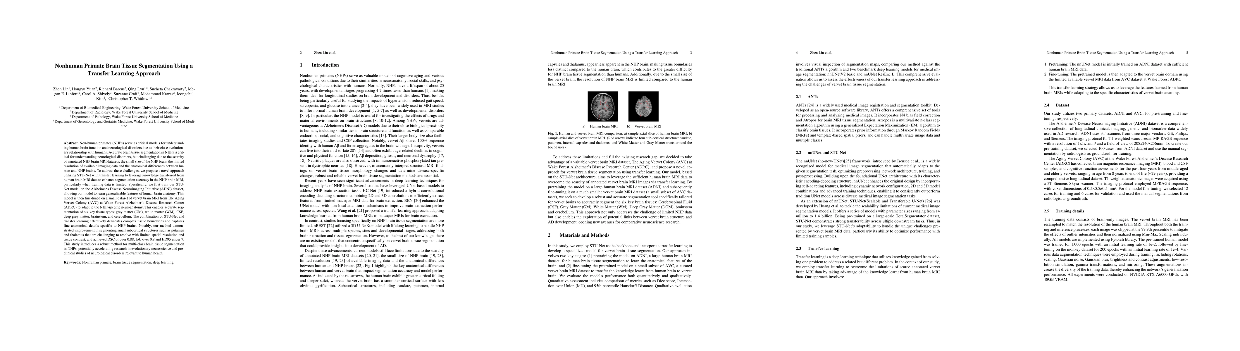 Thumbnail for Nonhuman Primate Brain Tissue Segmentation Using a Transfer Learning
  Approach