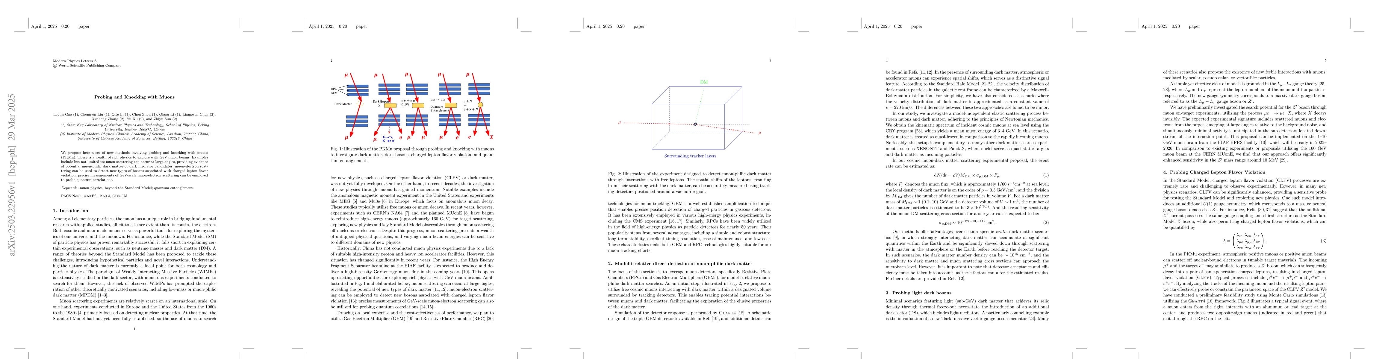Thumbnail for Probing and Knocking with Muons