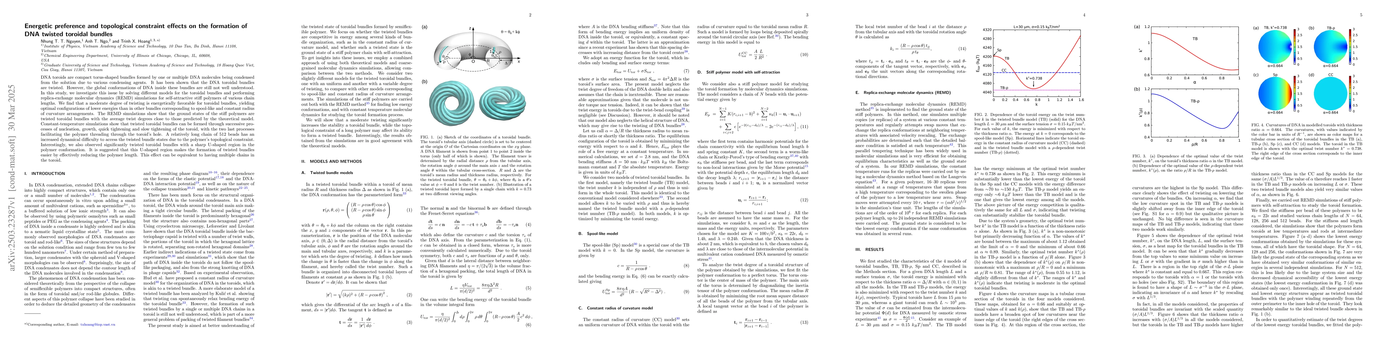 Thumbnail for Energetic preference and topological constraint effects on the formation
  of DNA twisted toroidal bundles