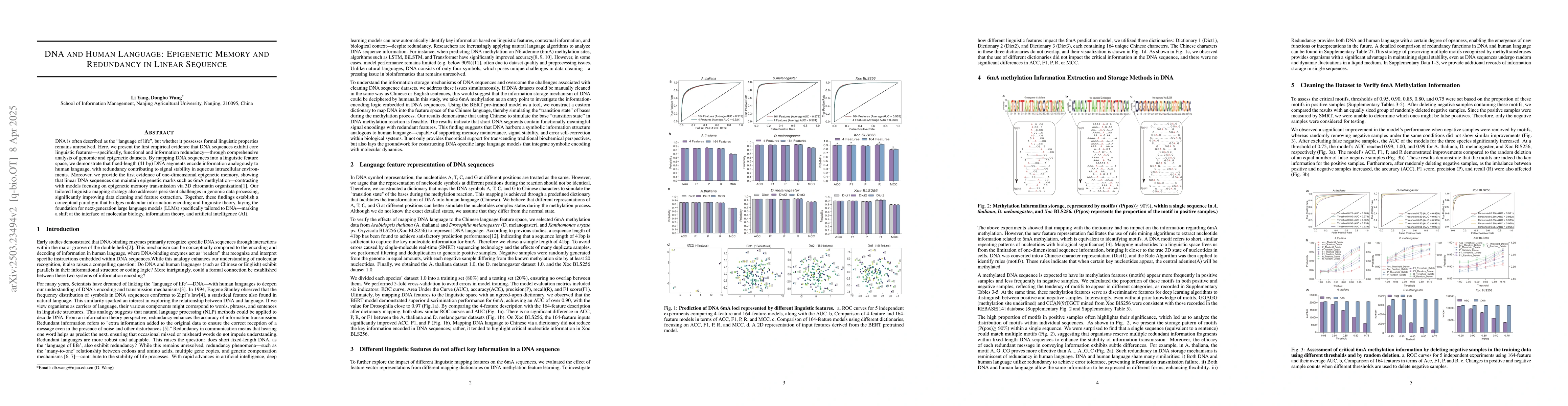 Thumbnail for DNA and Human Language: Epigenetic Memory and Redundancy in Linear
  Sequence
