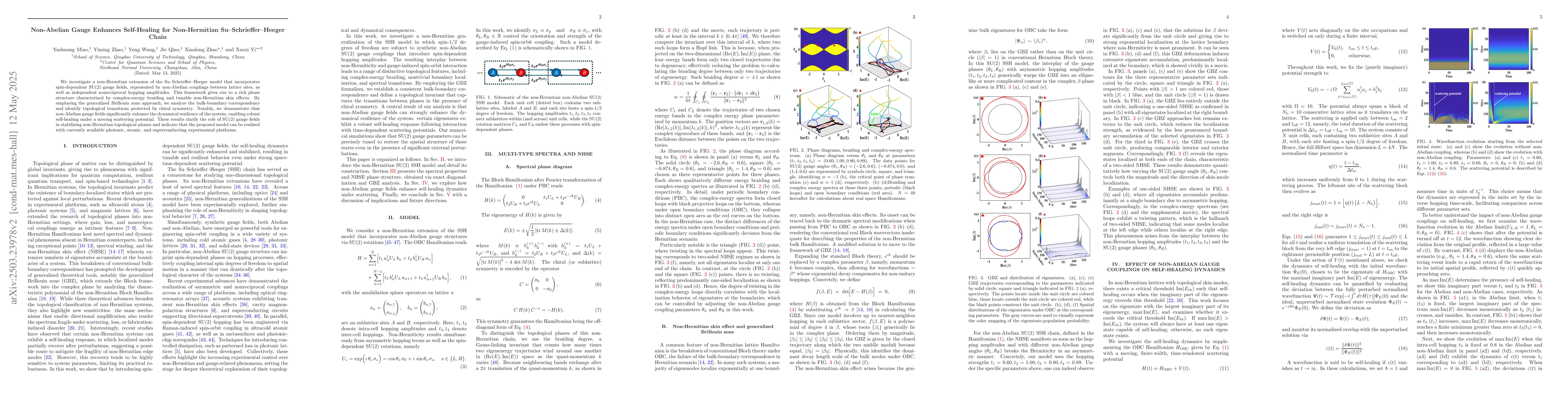 Thumbnail for Non-Abelian Gauge Enhances Self-Healing for Non-Hermitian Topological
  Su-Schrieffer-Heeger Chain