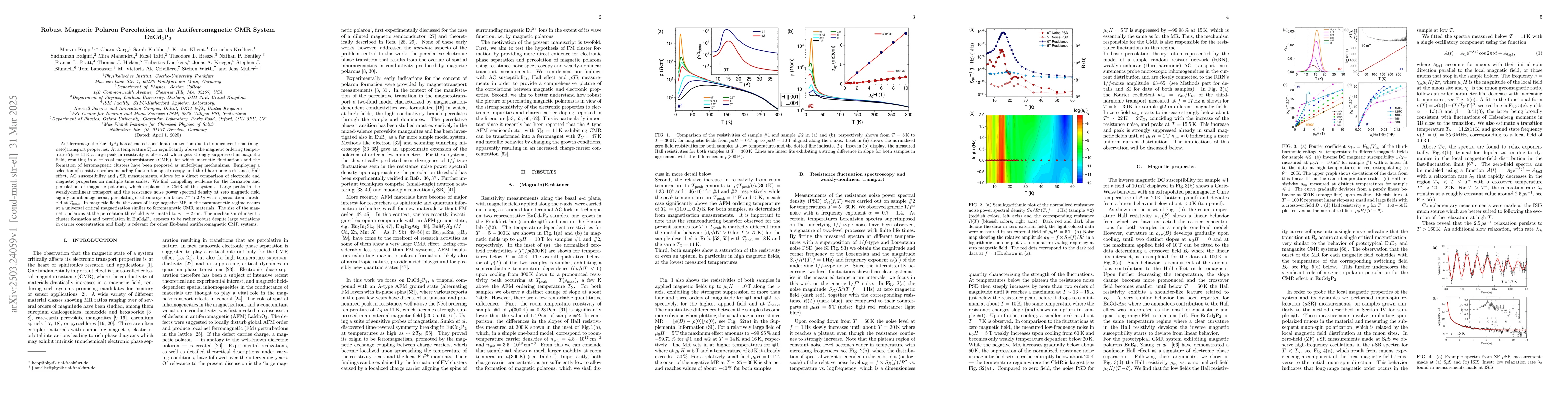 Thumbnail for Robust Magnetic Polaron Percolation in the Antiferromagnetic CMR System
  EuCd$_2$P$_2$