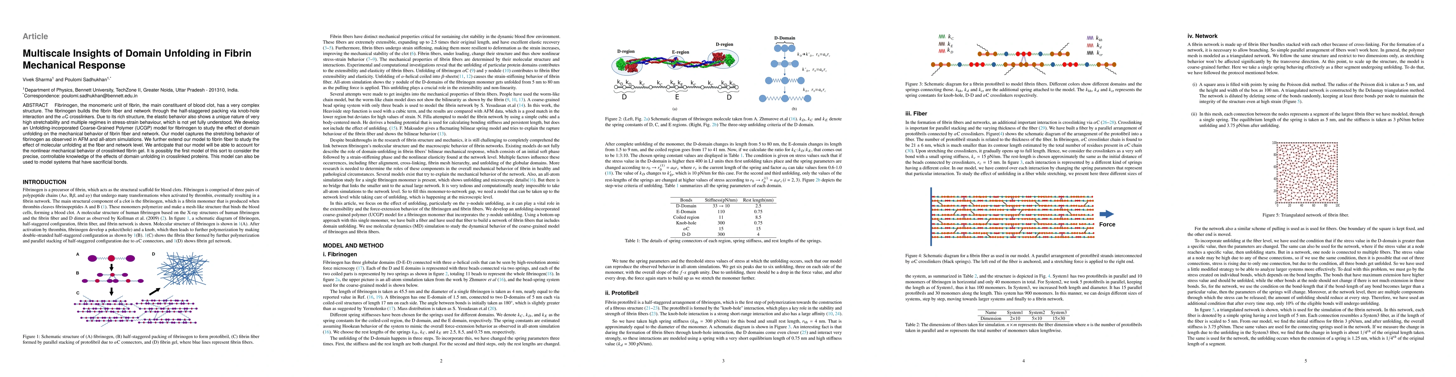 Thumbnail for Multiscale Insights of Domain Unfolding in Fibrin Mechanical Response