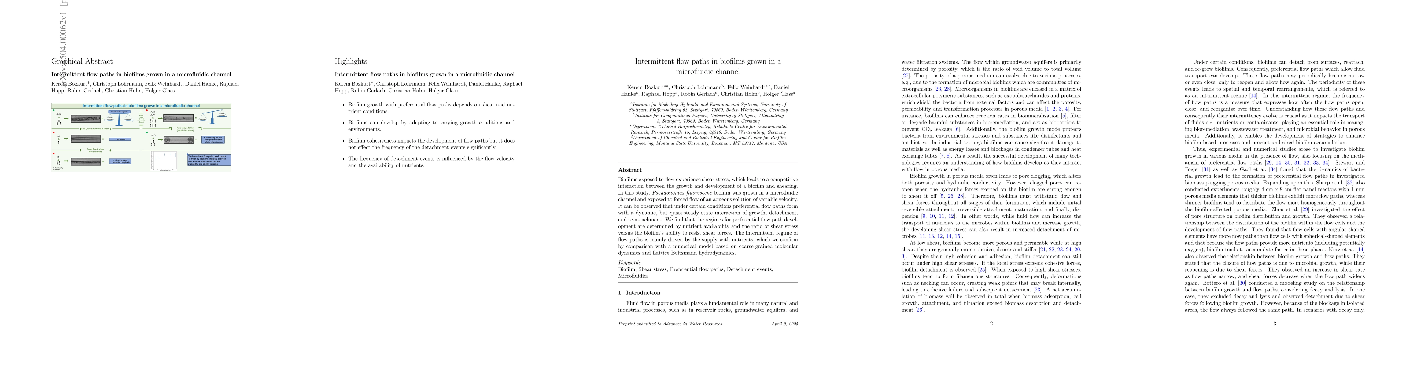 Thumbnail for Intermittent flow paths in biofilms grown in a microfluidic channel