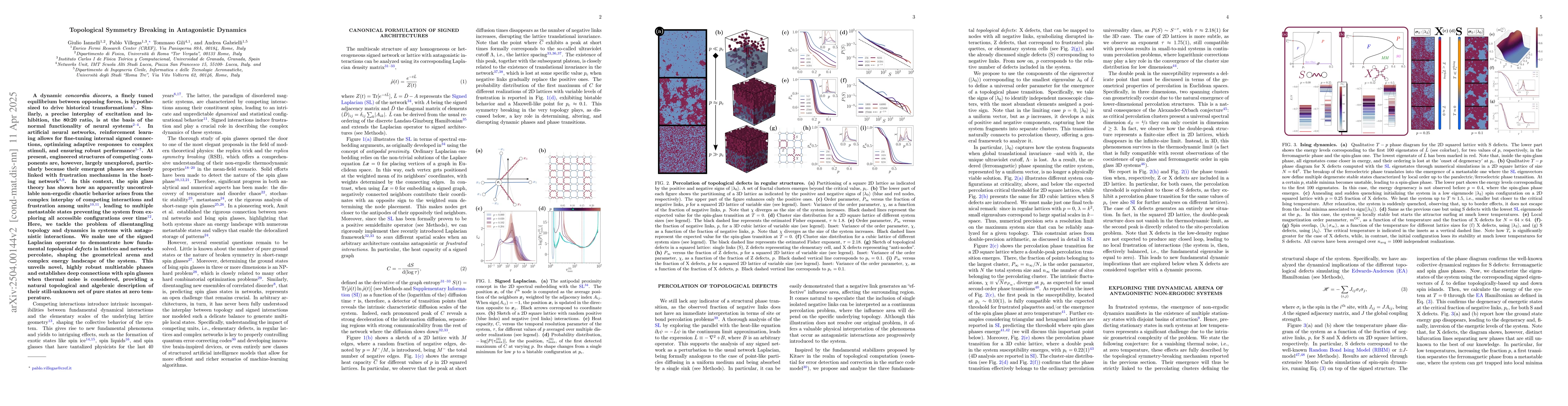 Thumbnail for Topological Symmetry Breaking in Antagonistic Dynamics