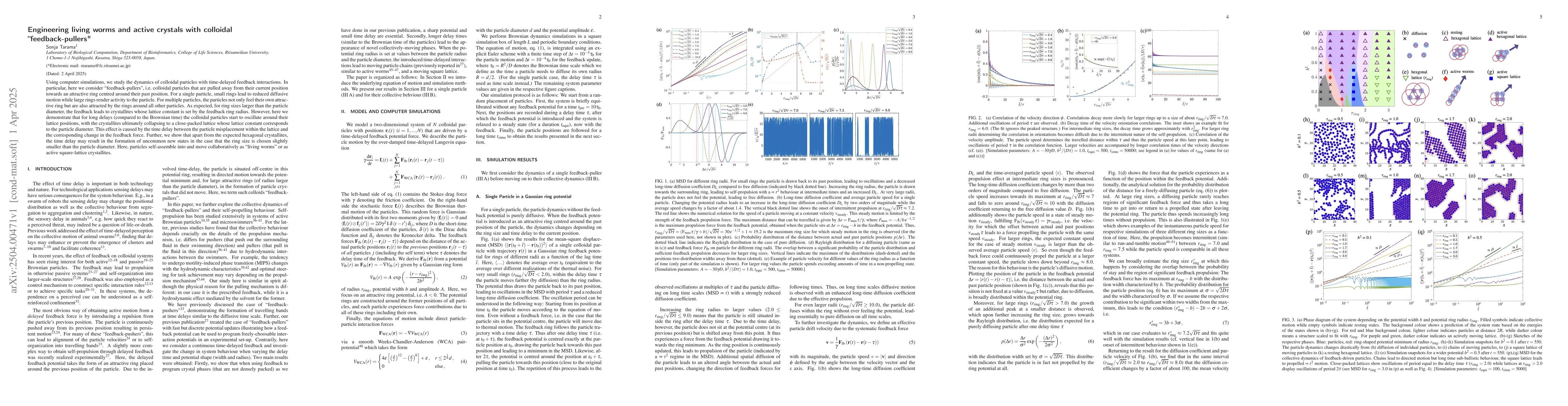 Thumbnail for Engineering living worms and active crystals with colloidal
  "feedback-pullers"