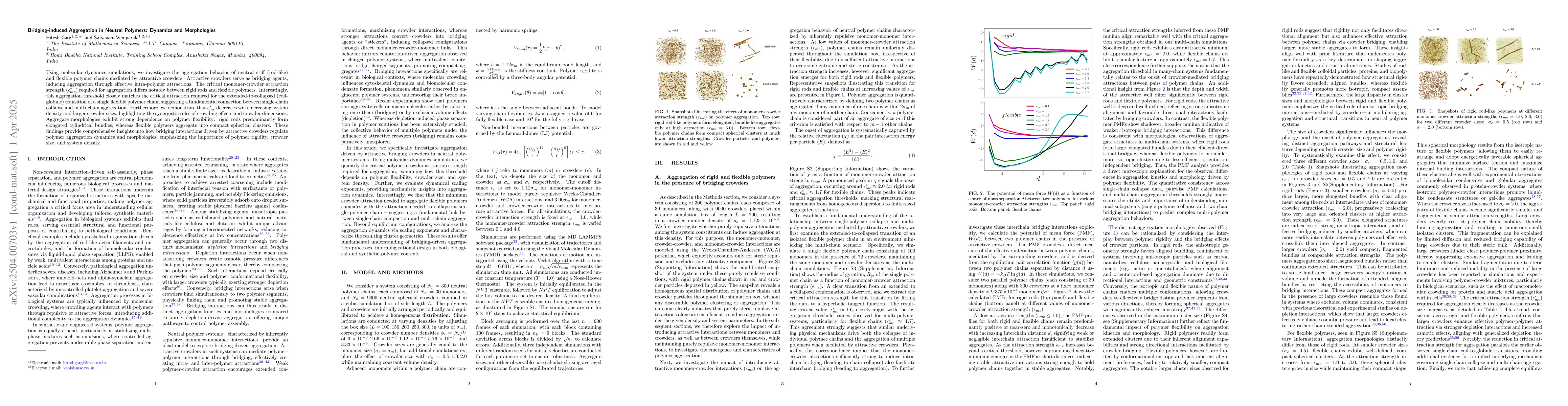 Thumbnail for Bridging-induced Aggregation in Neutral Polymers: Dynamics and
  Morphologies