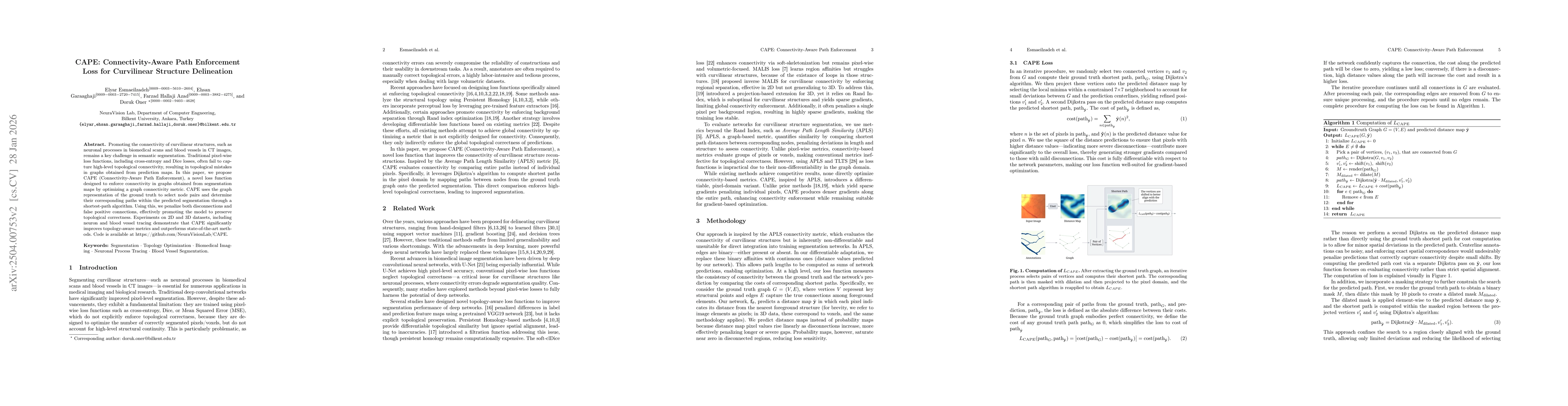 Thumbnail for CAPE: Connectivity-Aware Path Enforcement Loss for Curvilinear Structure Delineation