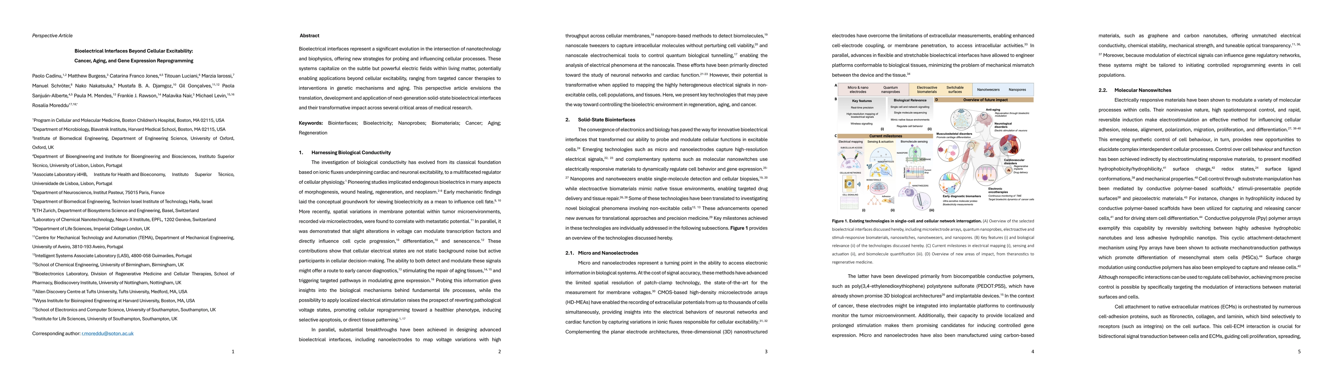 Thumbnail for Bioelectrical Interfaces Beyond Cellular Excitability: Cancer, Aging,
  and Gene Expression Reprogramming