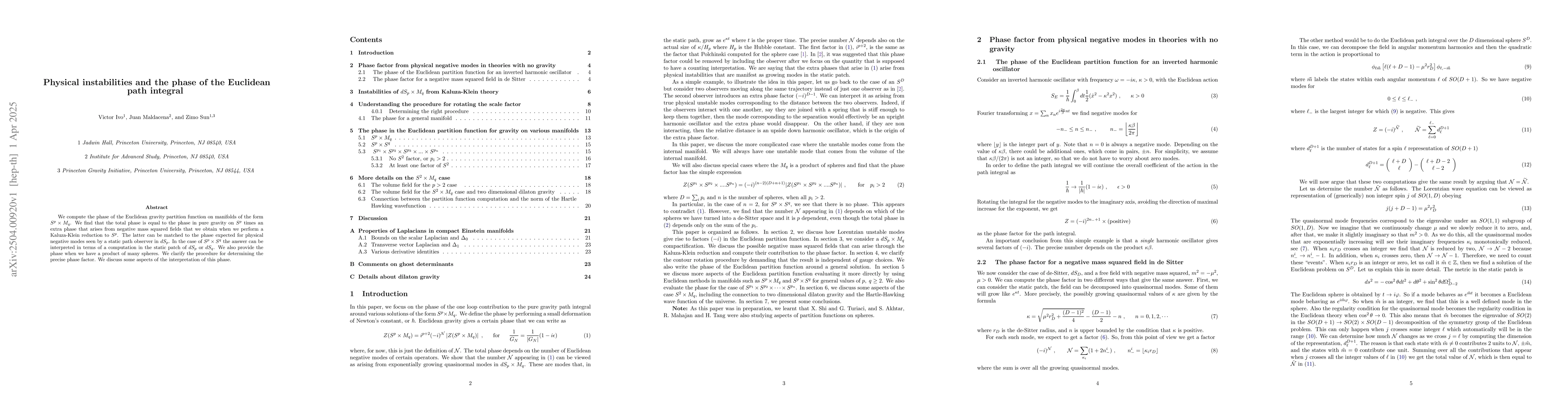 Thumbnail for Physical instabilities and the phase of the Euclidean path integral