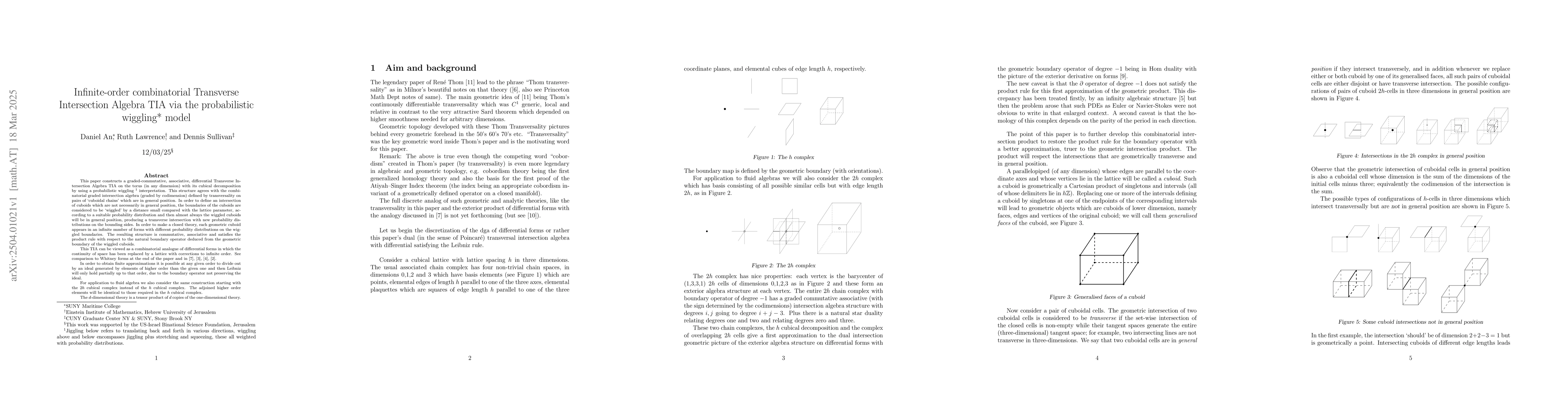 Thumbnail for Infinite-order combinatorial Transverse Intersection Algebra TIA via the
  probabilistic wiggling model