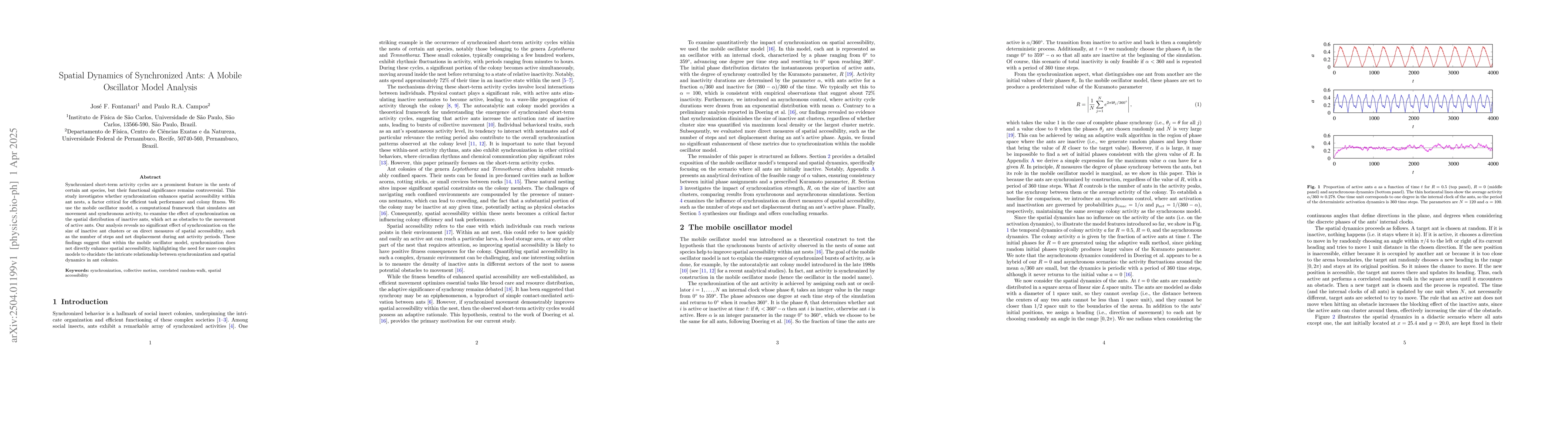 Thumbnail for Spatial Dynamics of Synchronized Ants: A Mobile Oscillator Model
  Analysis