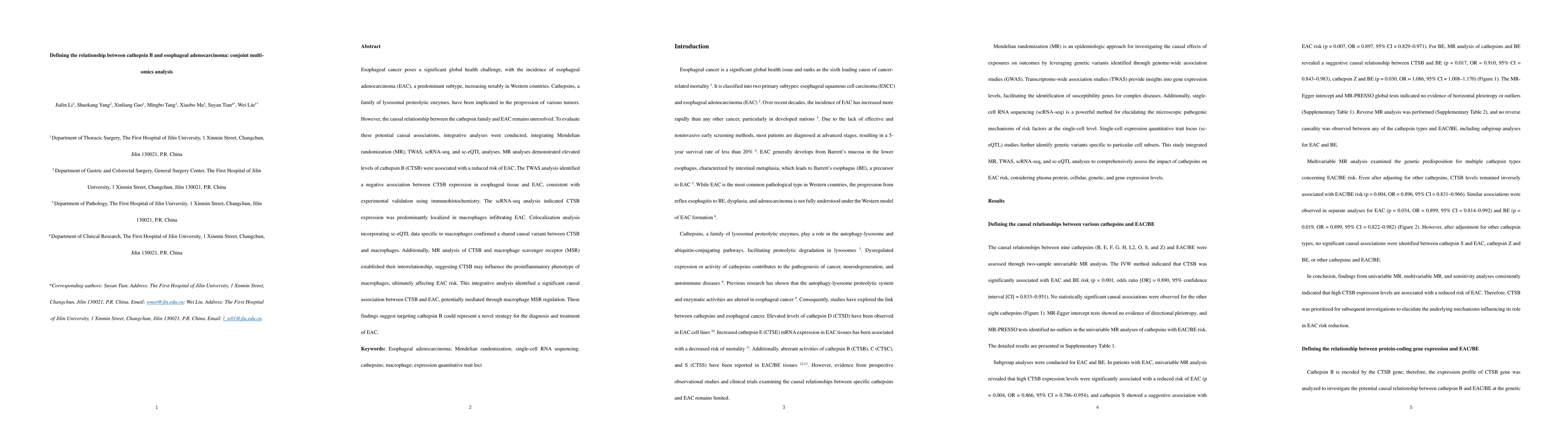 Thumbnail for Defining the relationship between cathepsin B and esophageal
  adenocarcinoma: conjoint analysis of Mendelian randomization,
  transcriptome-wide association studies, and single-cell RNA sequencing data