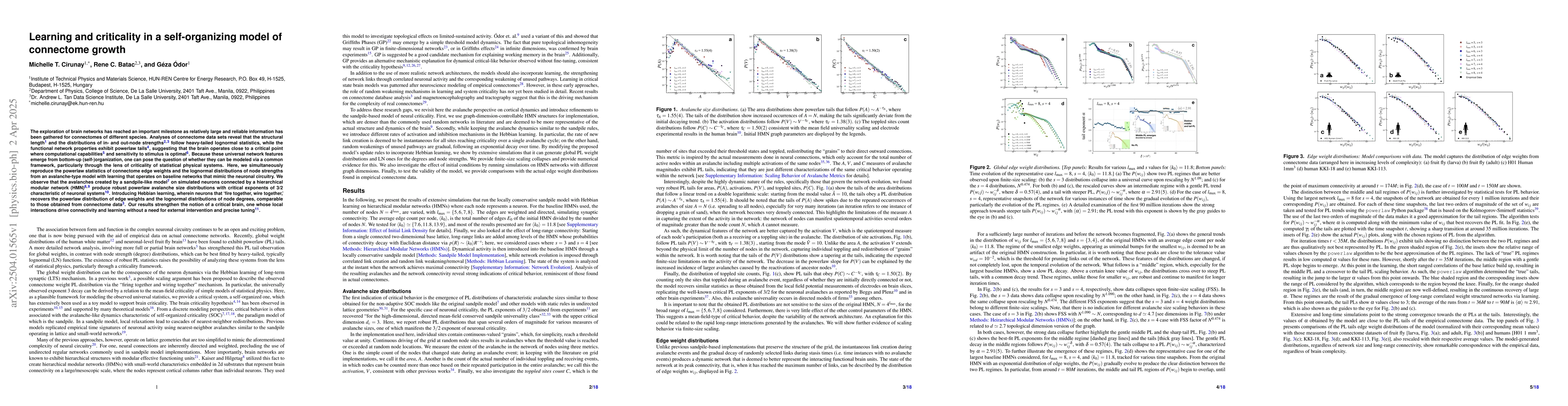 Thumbnail for Learning and criticality in a self-organizing model of connectome growth