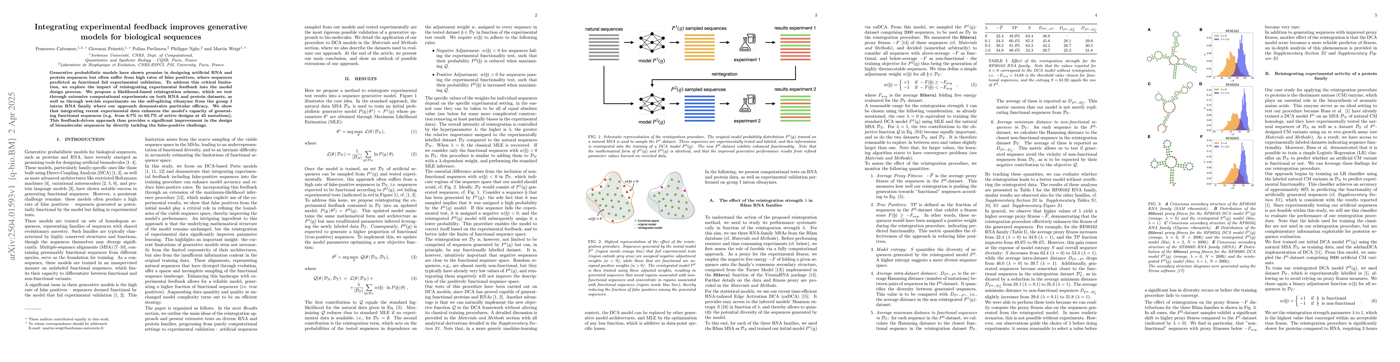 Thumbnail for Integrating experimental feedback improves generative models for
  biological sequences