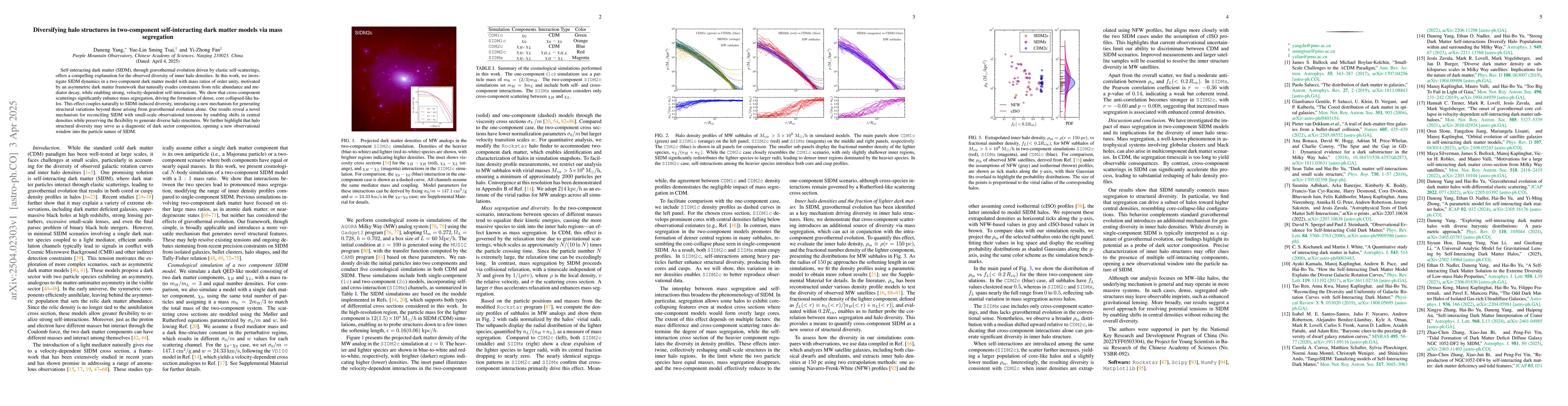 Thumbnail for Diversifying halo structures in two-component self-interacting dark
  matter models via mass segregation