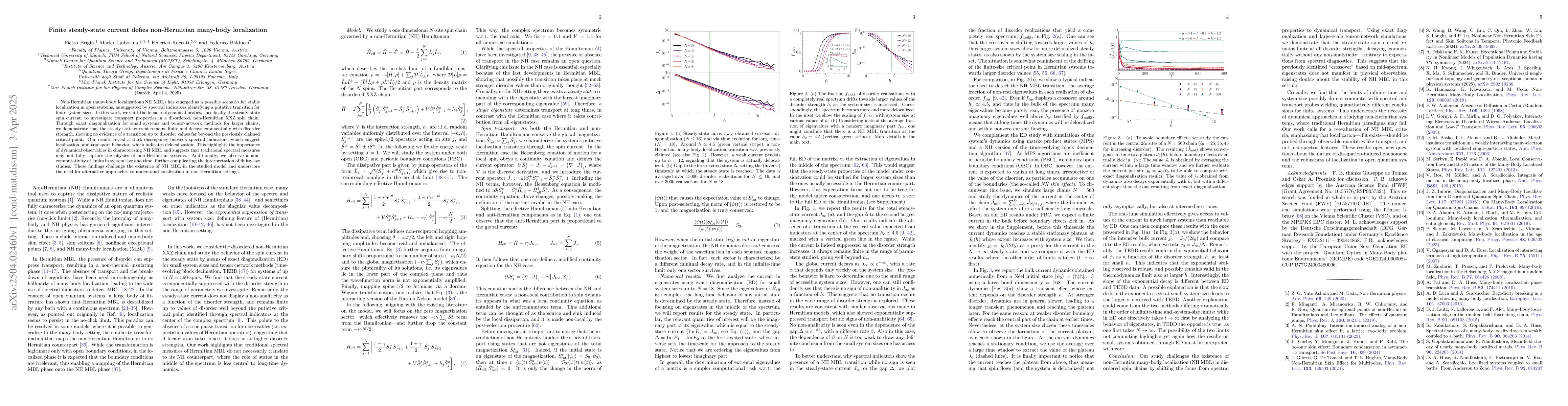 Thumbnail for Finite steady-state current defies non-Hermitian many-body localization