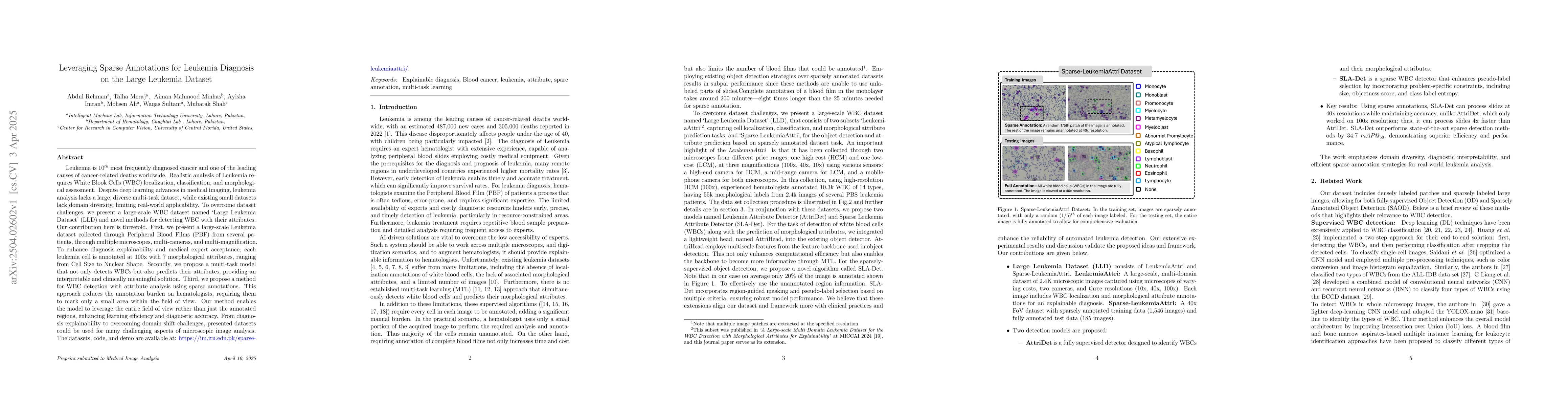 Thumbnail for Leveraging Sparse Annotations for Leukemia Diagnosis on the Large
  Leukemia Dataset