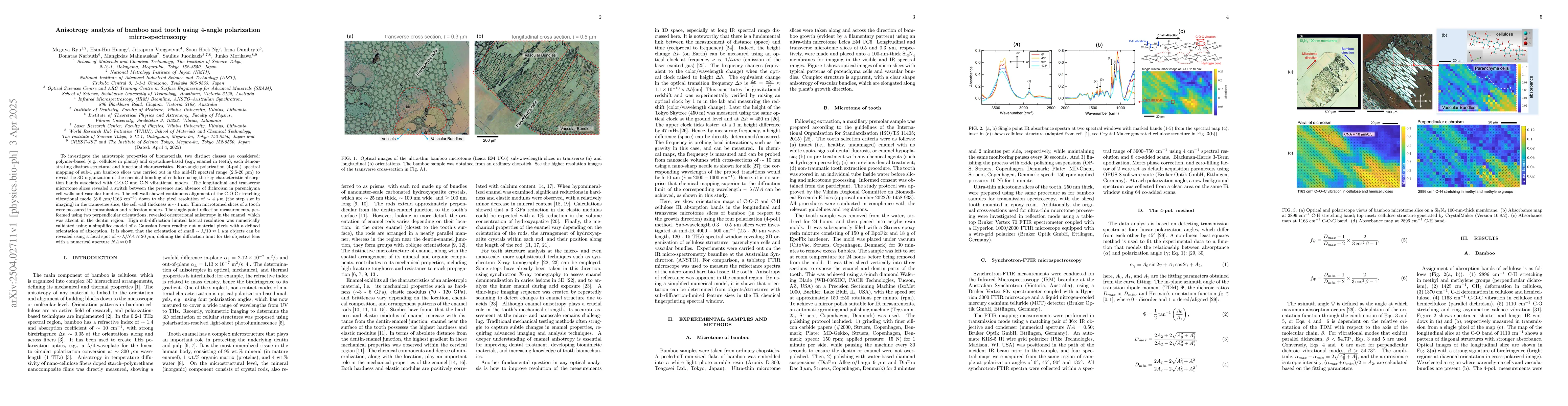 Thumbnail for Anisotropy analysis of bamboo and tooth using 4-angle polarization
  micro-spectroscopy